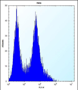 PHB Antibody (Center)