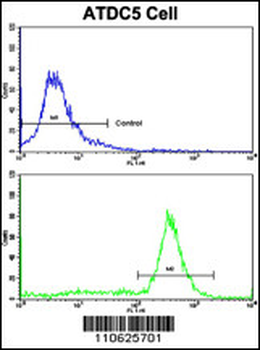 Prohibitin (PHB1) Antibody (N-term)