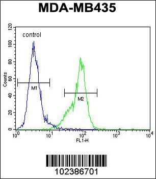 MeCP2 Antibody (C-term)