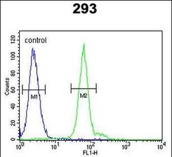 ATG14 Antibody (Center)