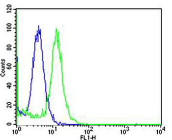 Mouse Mapk3 Antibody (C-term)