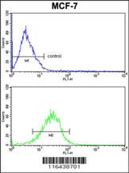 mouse BID Antibody (S61)