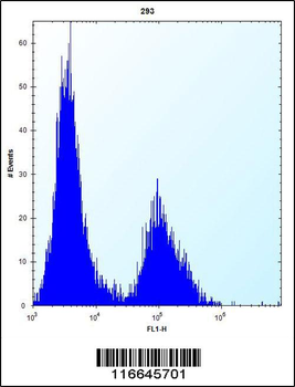 CLDN2 Antibody (C-term Y195)