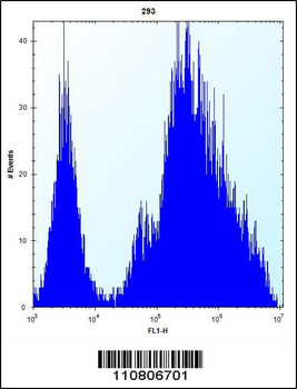 MINA Antibody (N-term)