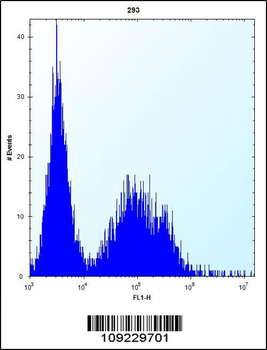 TSSK6 Antibody (C-term)