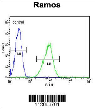 HIP1R Antibody (N-term)