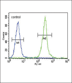 CLDN16 Antibody (N-term)