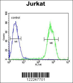 PCDHGC3 Antibody (Center)