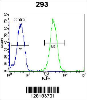 ZNF780A Antibody (N-term)