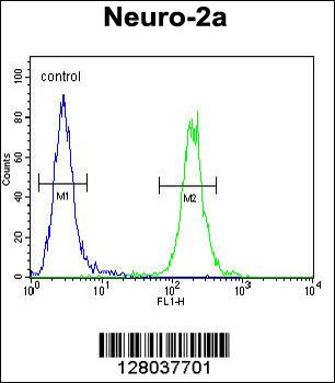 SCARF2 Antibody (C-term)