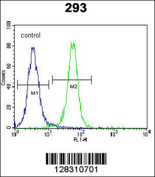 ZNF611 Antibody (N-term)