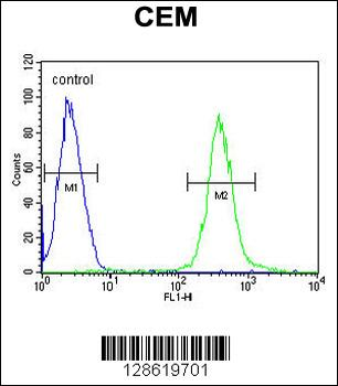AT8B2 Antibody (N-term)