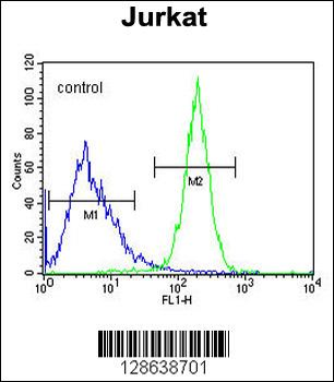 CWC22 Antibody (N-term)