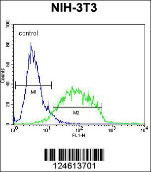 GCNT3 Antibody (C-term)