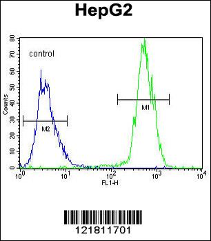 PRRT1 Antibody (Center)