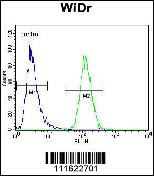 PIK3R5 Antibody (C-term)