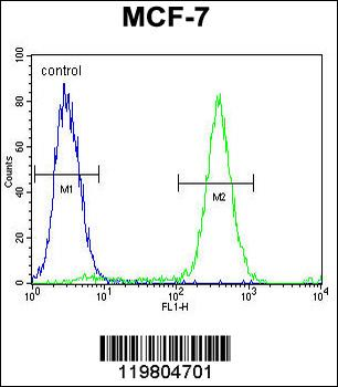 QTRTD1 Antibody (C-term)