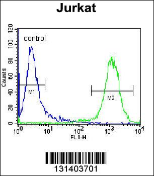 LRP12 Antibody (C-term)