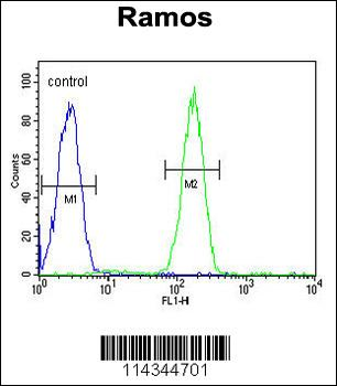 JHDM2b Antibody (Center)