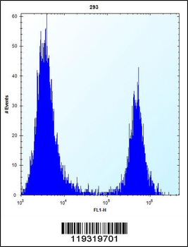 FKBP7 Antibody (C-term)
