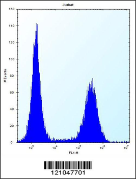 RNF11 Antibody (Center)