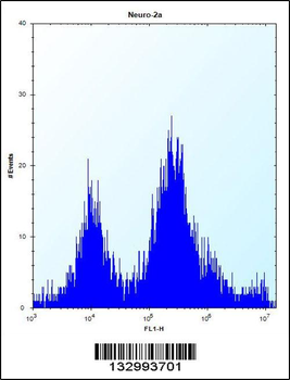UBE2E2 Antibody (N-term)