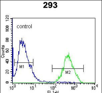 RCE1 Antibody (N-term W57)