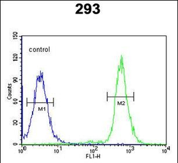 A2ML1 Antibody (N-term)