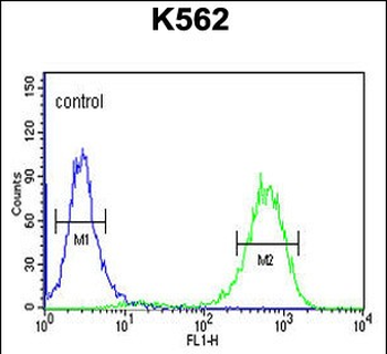 CQ068 Antibody (Center)