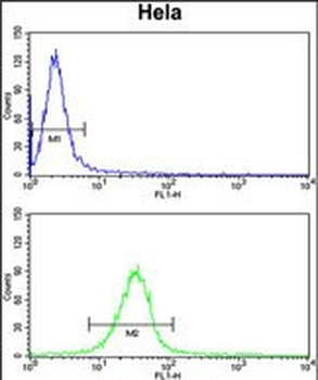 C2orf49 Antibody (N-term)