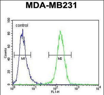 SMIM14 Antibody (C-term)