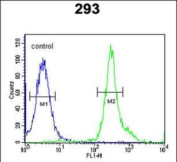 TSPAN3 Antibody (Center)