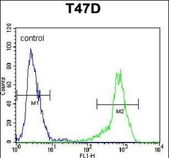 SIAH2 Antibody (Center)