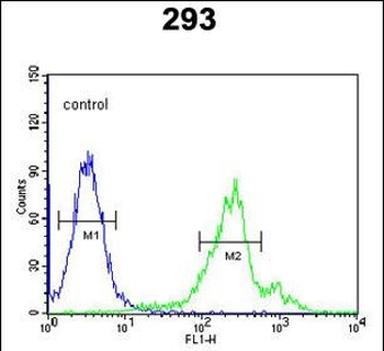 CDC42EP3 Antibody (N-term)