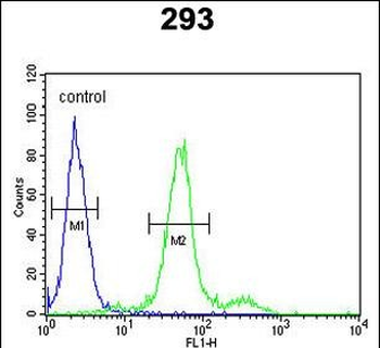 COL18A1 Antibody (N-term)