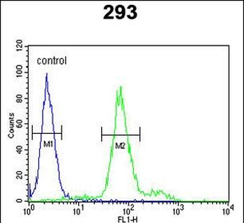 KLF16 Antibody (Center)
