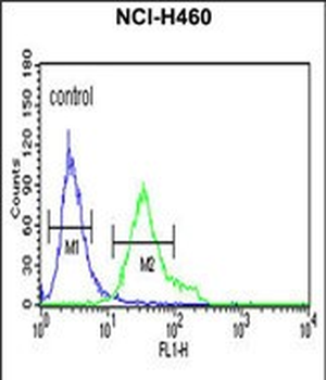 DGCR8 Antibody (Center)