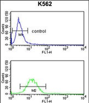GPR50 Antibody (Center)