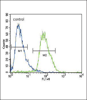 CACNA2D3 Antibody (C-term)
