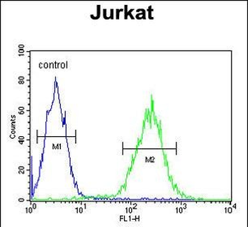 RPR1B Antibody (C-term)