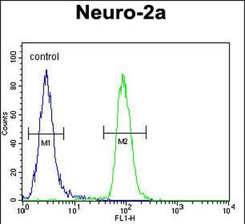CIRH1A Antibody (N-term)