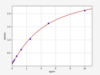 Human ATG3 ELISA Kit