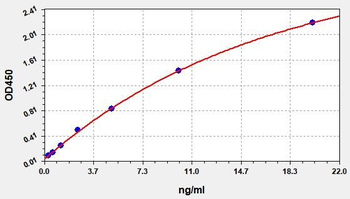 Human ACTN3 (Alpha-actinin-3) Quick ELISA Kit