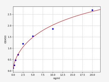 Human CYP2B6 ELISA Kit