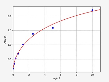 Human ABCB5 ELISA Kit