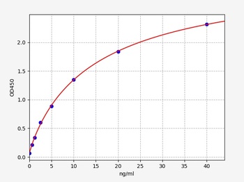 Human FTMT ELISA Kit