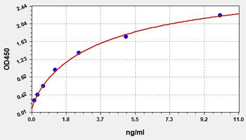 Human CASP4 ELISA Kit
