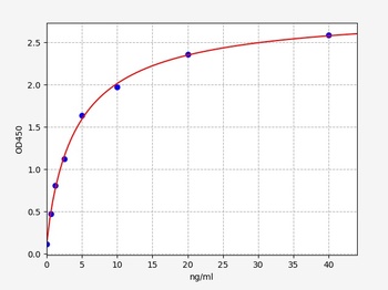 Human N-MID-OT ELISA Kit