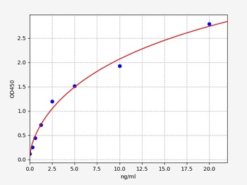 Rat Mat1a ELISA Kit