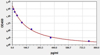 Rat E2 ELISA Kit